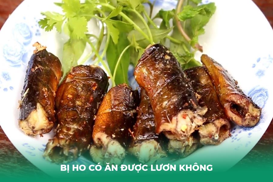 bị ho có ăn được lươn không