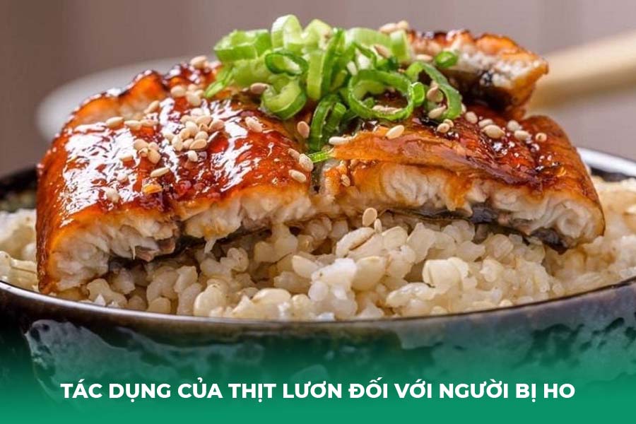 Tác Dụng Của Thịt Lươn Đối Với Người Bị Ho