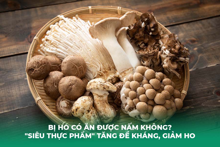 Bị Ho Có Ăn Được Nấm Không? 