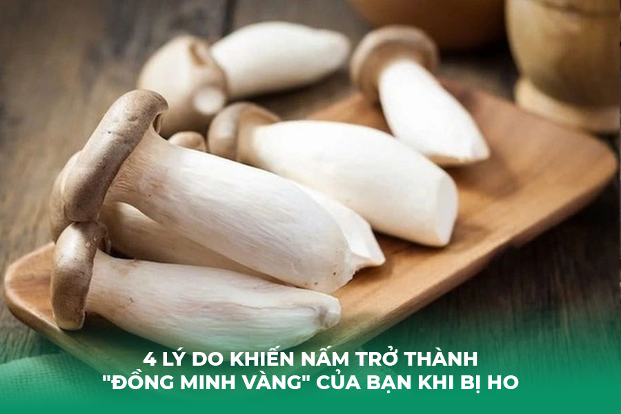 4 Lý Do Khiến Nấm Trở Thành 