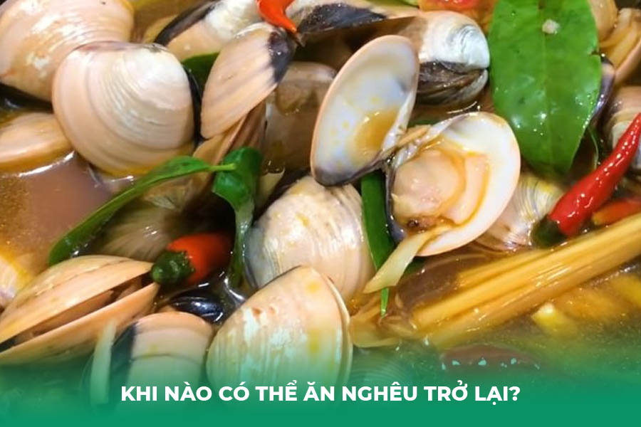 Khi Nào Có Thể Ăn Nghêu Trở Lại?