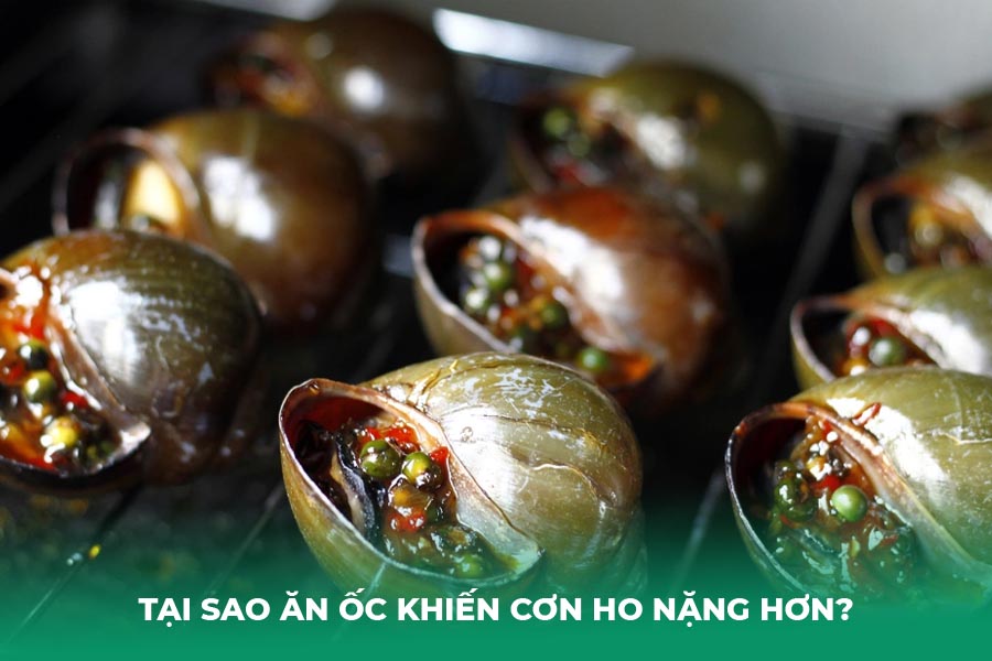 Tại sao ăn ốc khiến cơn ho nặng hơn?
