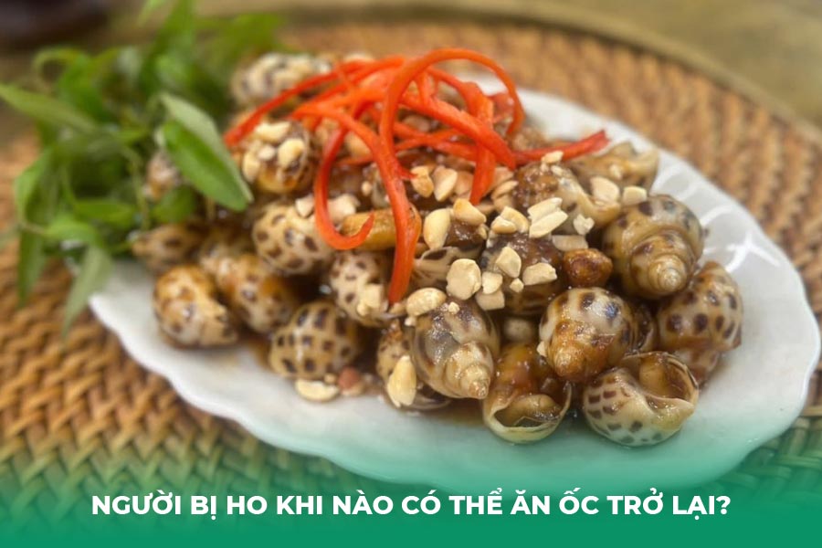 Người bị ho khi nào có thể ăn ốc trở lại?