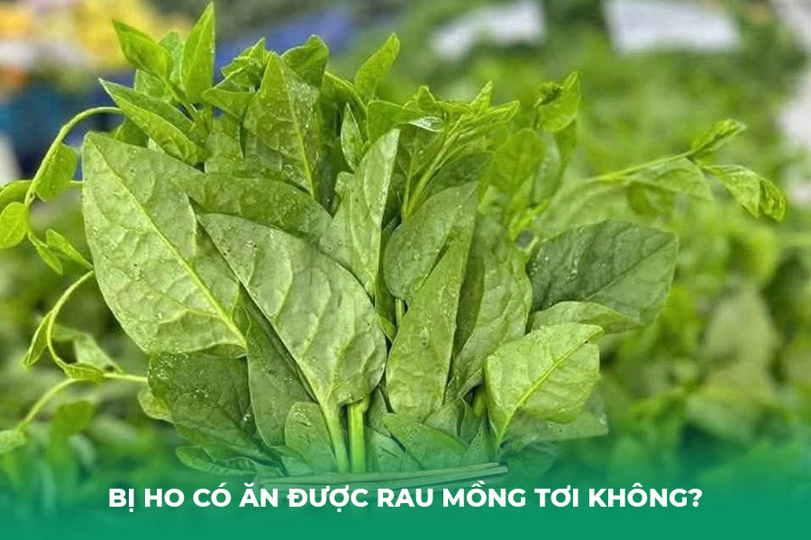 Bị ho có ăn được rau mồng tơi không?