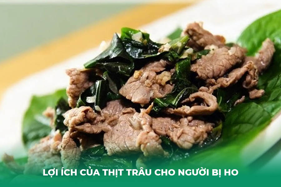 Lợi Ích Của Thịt Trâu Cho Người Bị Ho