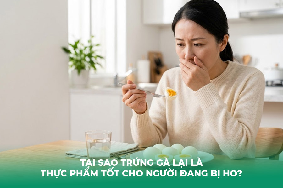 Tại Sao Trứng Gà Lại Là Thực Phẩm Tốt Cho Người Đang Bị Ho?