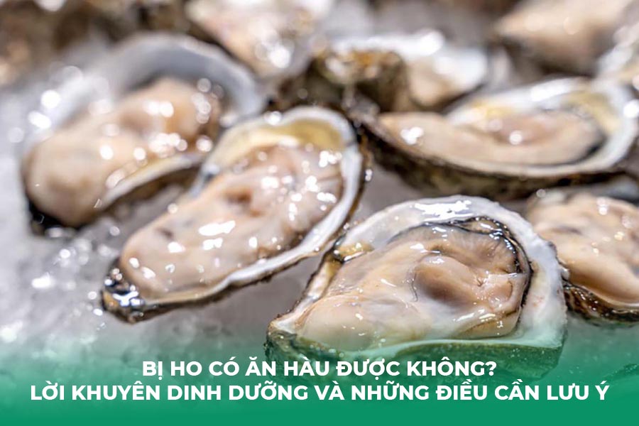 Bị Ho Có Ăn Hàu Được Không? Lời Khuyên Dinh Dưỡng và Những Điều Cần Lưu Ý