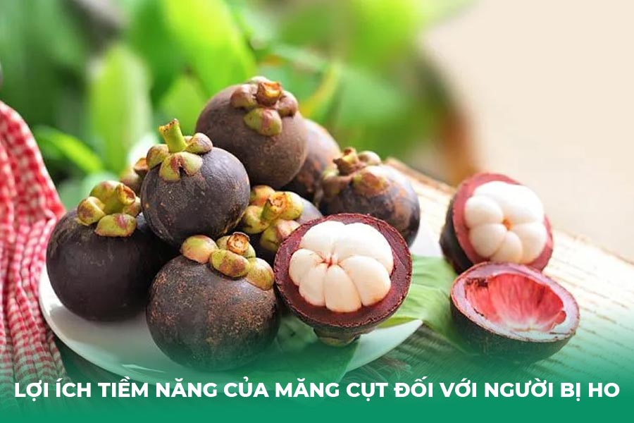 Lợi Ích Tiềm Năng Của Măng Cụt Đối Với Người Bị Ho
