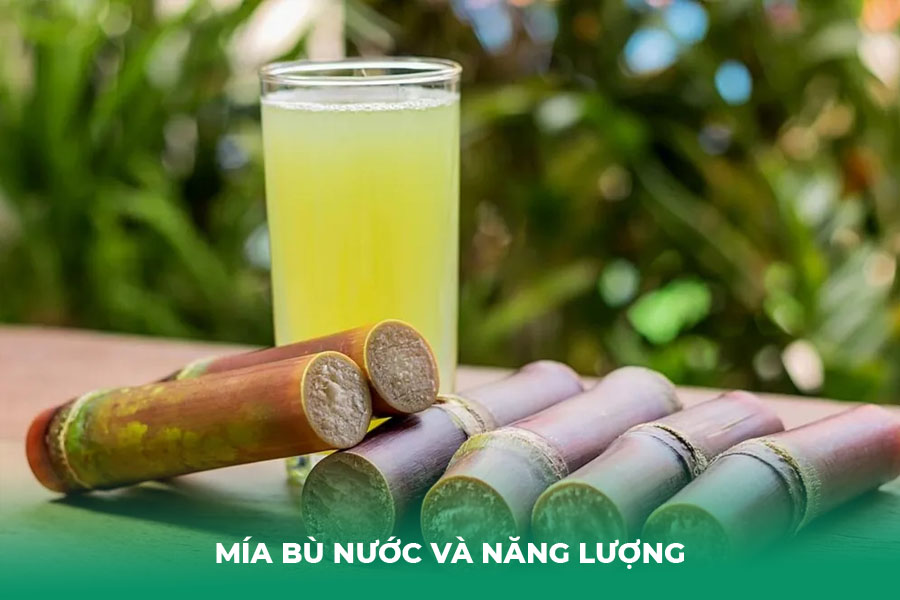 Mía bù nước và năng lượng