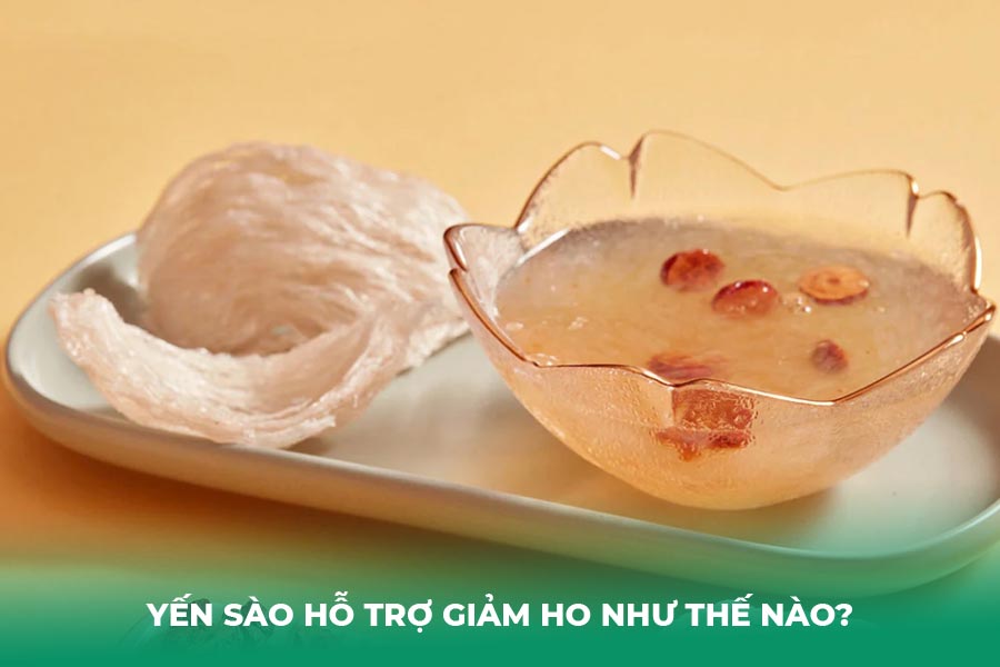 Yến Sào Hỗ Trợ Giảm Ho Như Thế Nào?