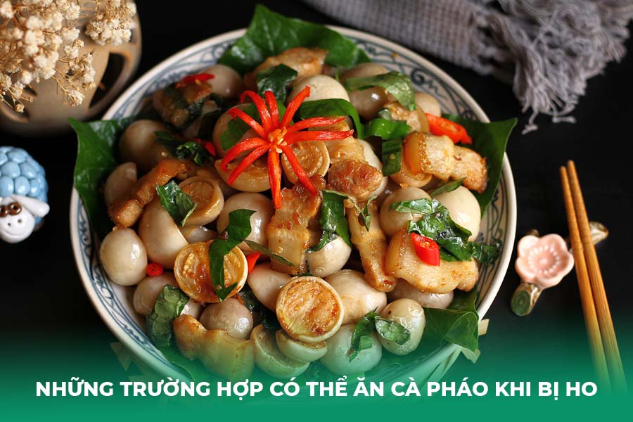 Những trường hợp có thể ăn cà pháo khi bị ho