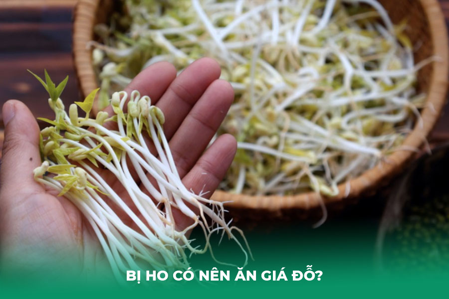 Bị Ho Có Nên Ăn Giá Đỗ?