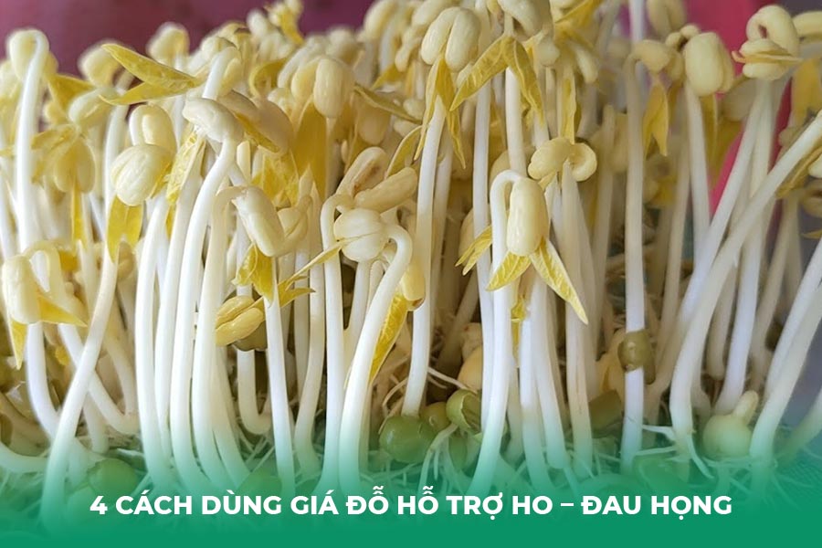 4 Cách Dùng Giá Đỗ Hỗ Trợ Ho – Đau Họng