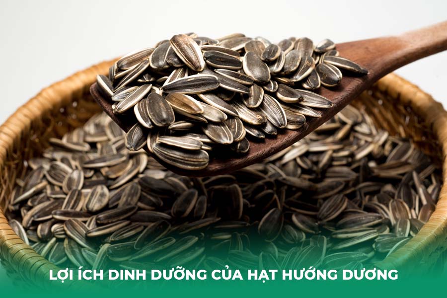 Lợi ích dinh dưỡng của hạt hướng dương