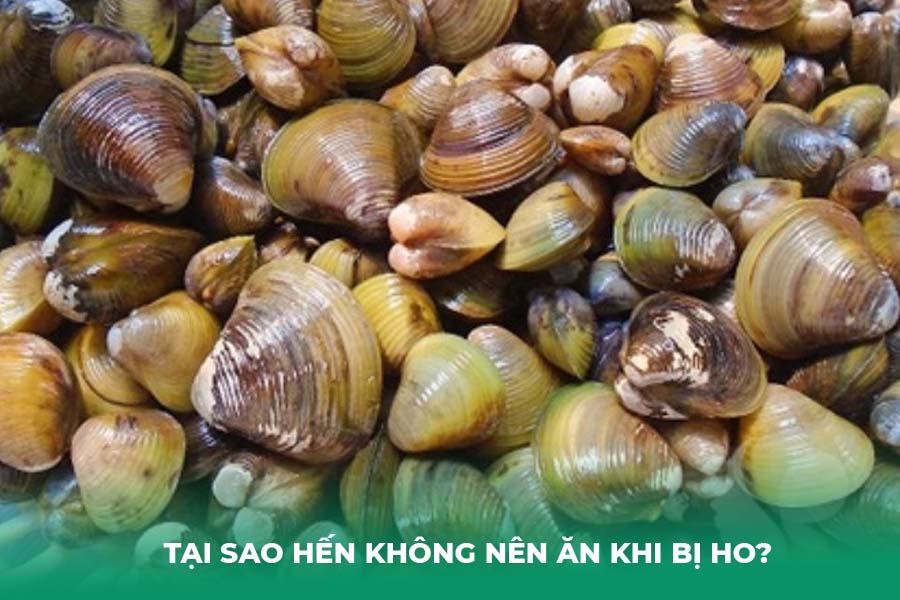 Tại sao hến không nên ăn khi bị ho?