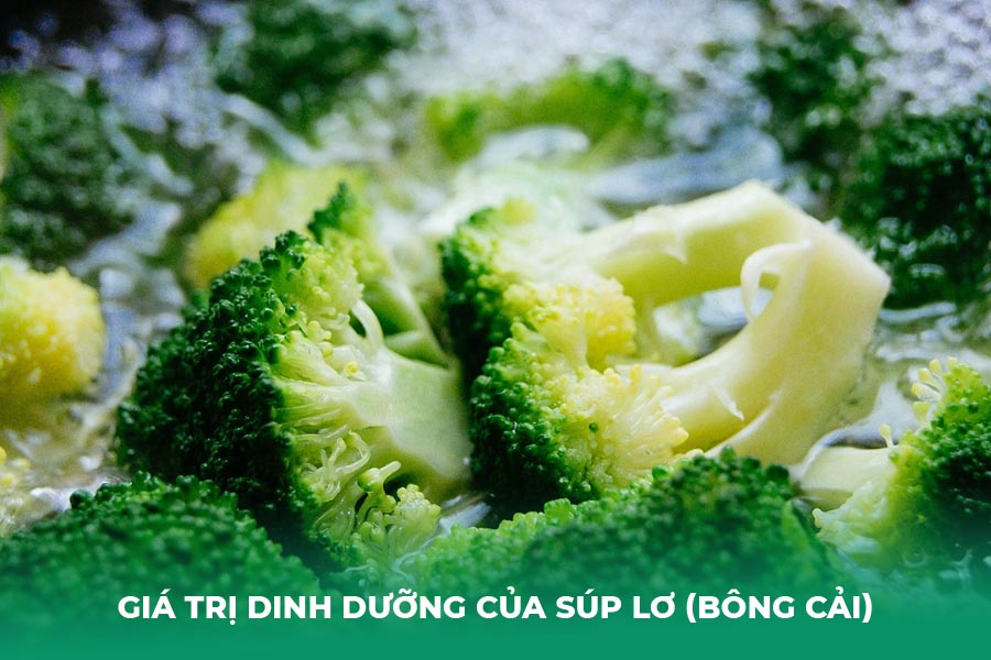 Giá Trị Dinh Dưỡng Của Súp Lơ (Bông Cải)