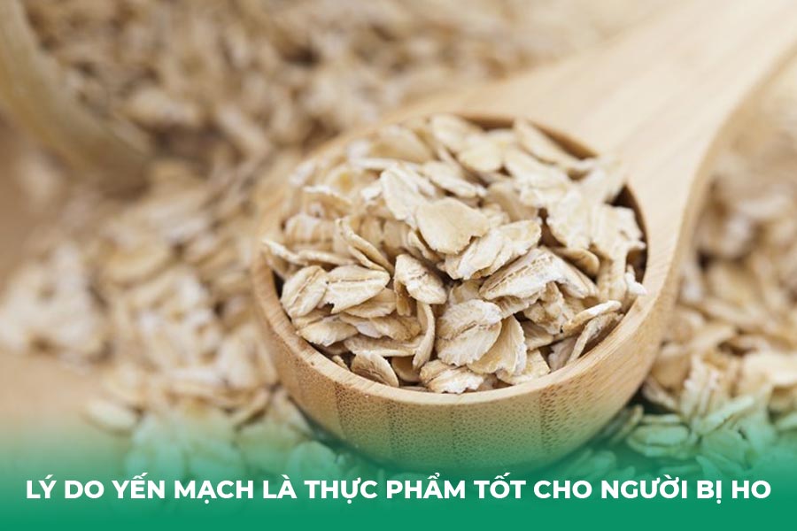 Lý Do Yến Mạch Là Thực Phẩm Tốt Cho Người Bị Ho