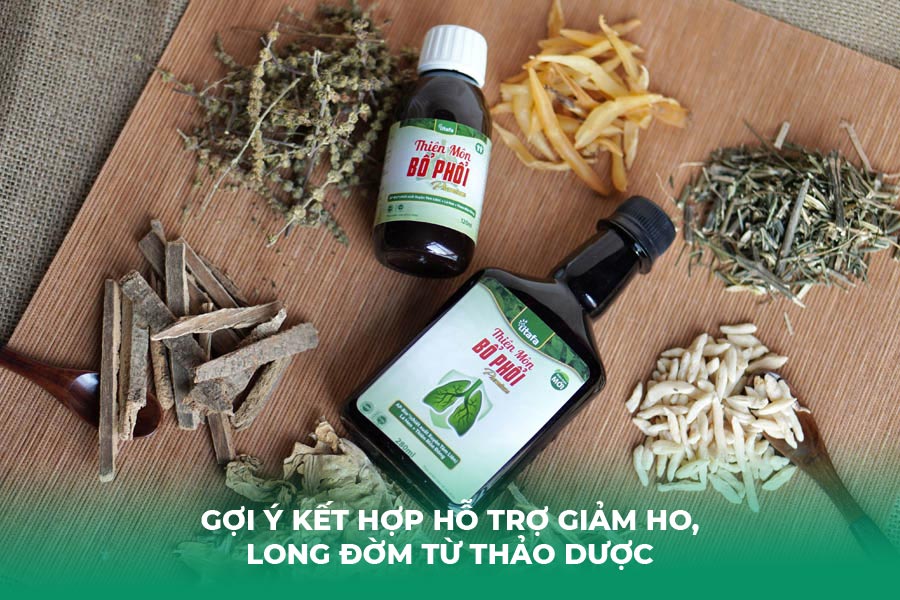 Gợi Ý Kết Hợp Hỗ Trợ Giảm Ho, Long Đờm Từ Thảo Dược