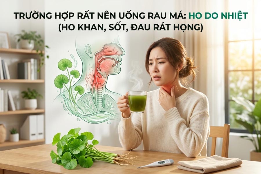 Trường hợp rất nên uống: Ho do nhiệt (ho khan, sốt, đau rát họng)