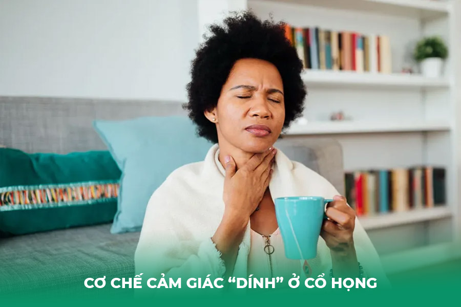 Cơ Chế Cảm Giác “Dính” Ở Cổ Họng