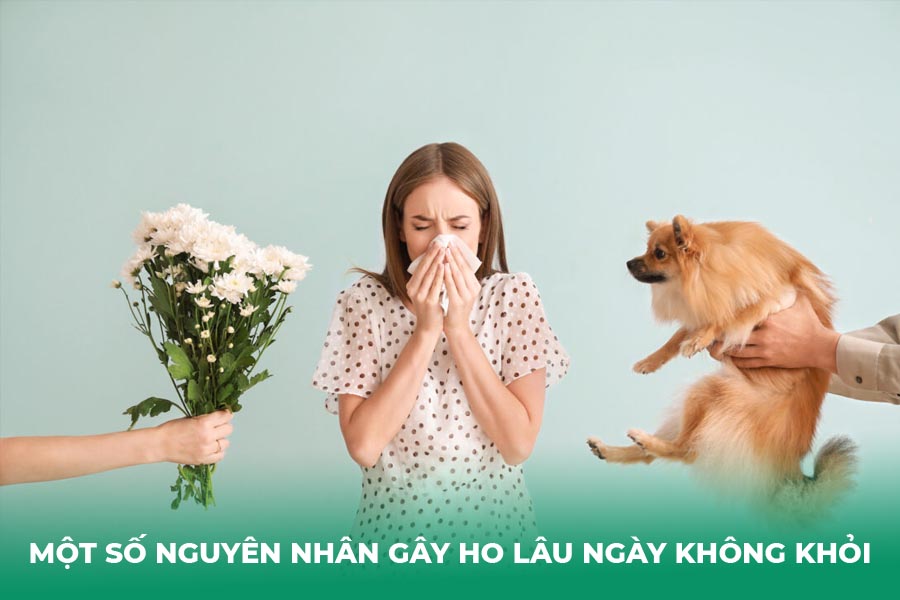 Một số nguyên nhân gây ho lâu ngày không khỏi