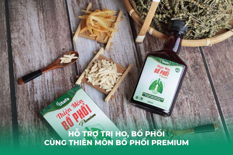 Hỗ trợ trị ho, bổ phổi cùng Thiên Môn Bổ Phổi Premium
