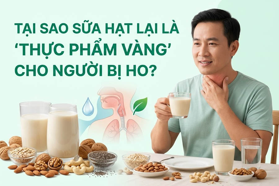 Tại Sao Sữa Hạt Lại Là