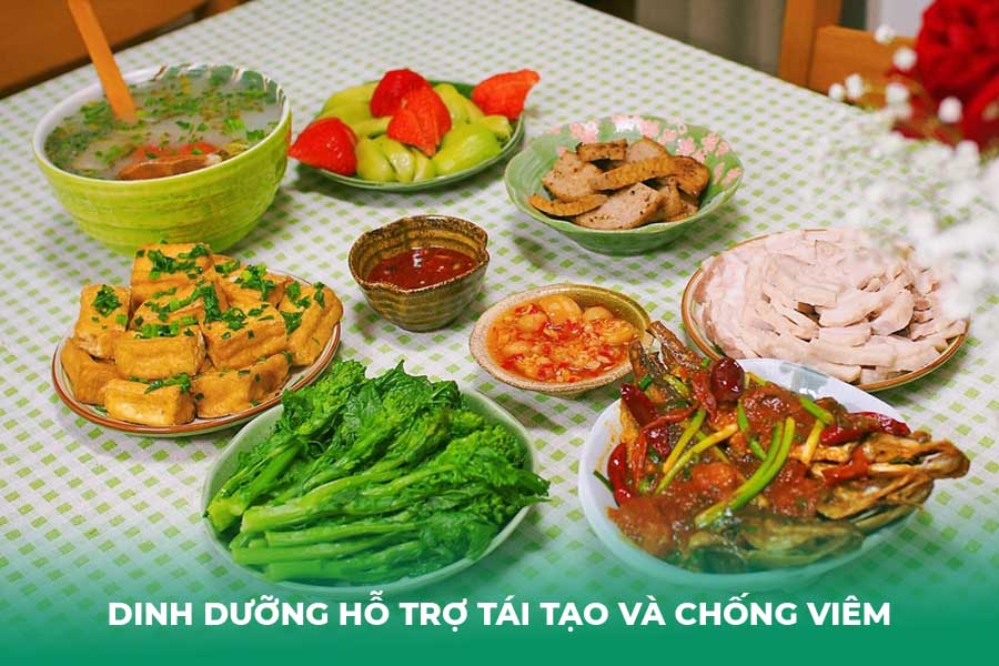 Dinh Dưỡng Hỗ Trợ Tái Tạo Và Chống Viêm