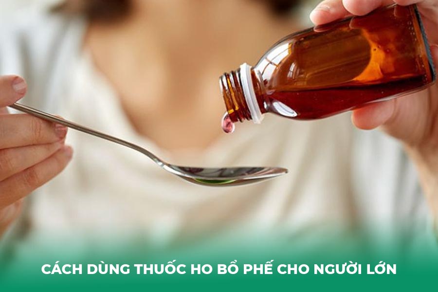 Cách Dùng Thuốc Ho Bổ Phế Cho Người Lớn