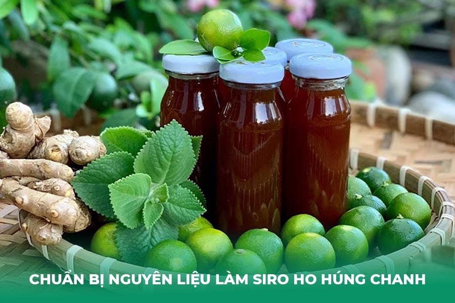 chuẩn bị nguyên liệu Làm Siro Ho Húng Chanh