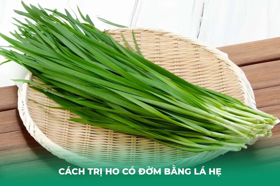 Cách trị ho có đờm bằng Lá hẹ