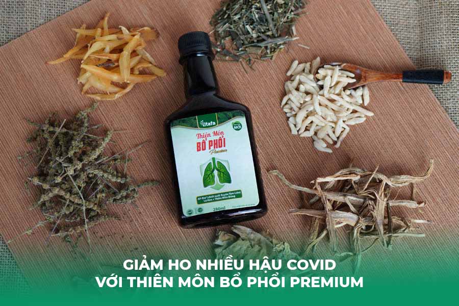 Giảm Ho Nhiều Hậu Covid Với Thiên Môn Bổ Phổi Premium