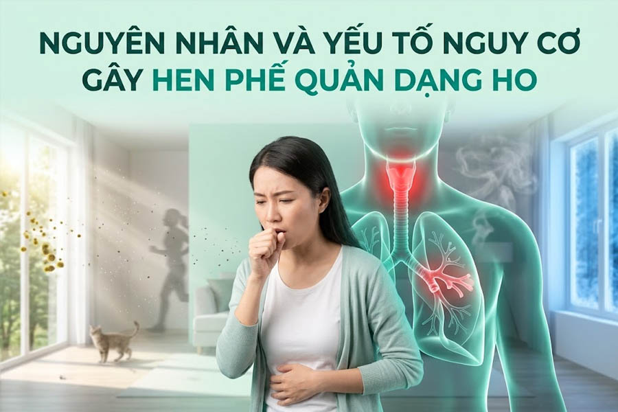 Nguyên Nhân Và Yếu Tố Nguy Cơ Gây Hen Phế Quản Dạng Ho
