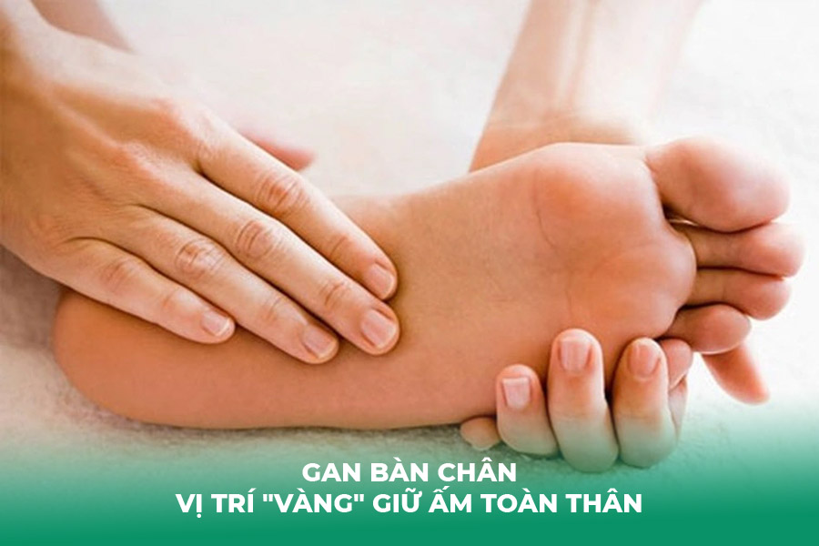 Gan Bàn Chân – Vị Trí 