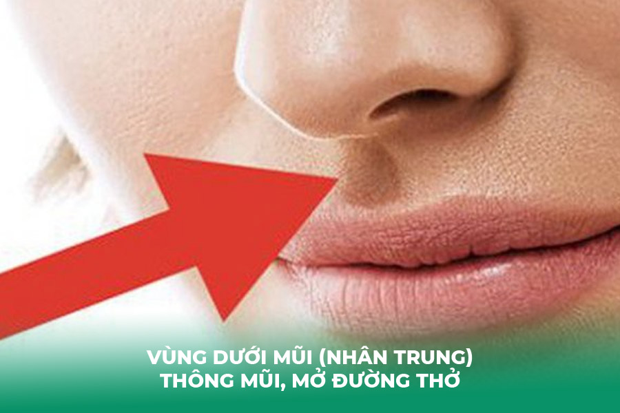 Vùng Dưới Mũi (Nhân Trung) – Thông Mũi, Mở Đường Thở