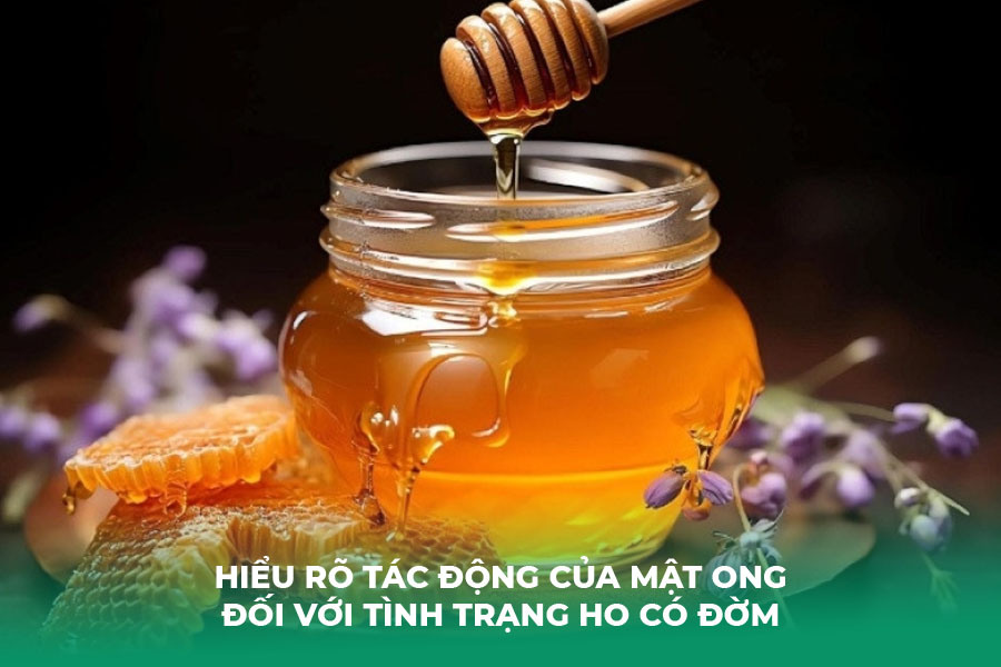 Hiểu Rõ Tác Động Của Mật Ong Đối Với Tình Trạng Ho Có Đờm
