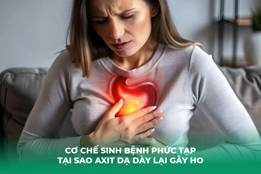 Cơ Chế Sinh Bệnh Phức Tạp Tại Sao Axit Dạ Dày Lại Gây Ho