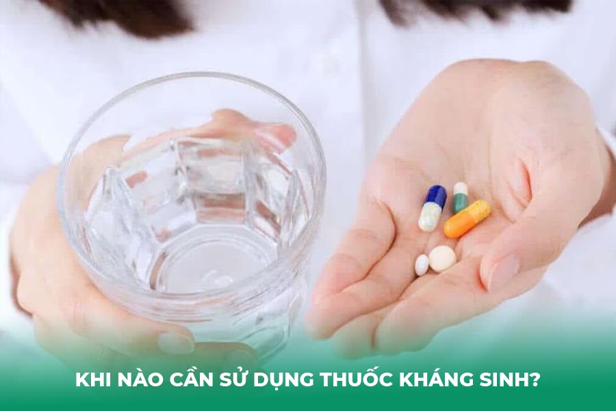 Khi nào cần sử dụng thuốc kháng sinh?
