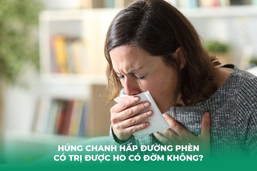 Húng chanh hấp đường phèn có trị được ho có đờm không?