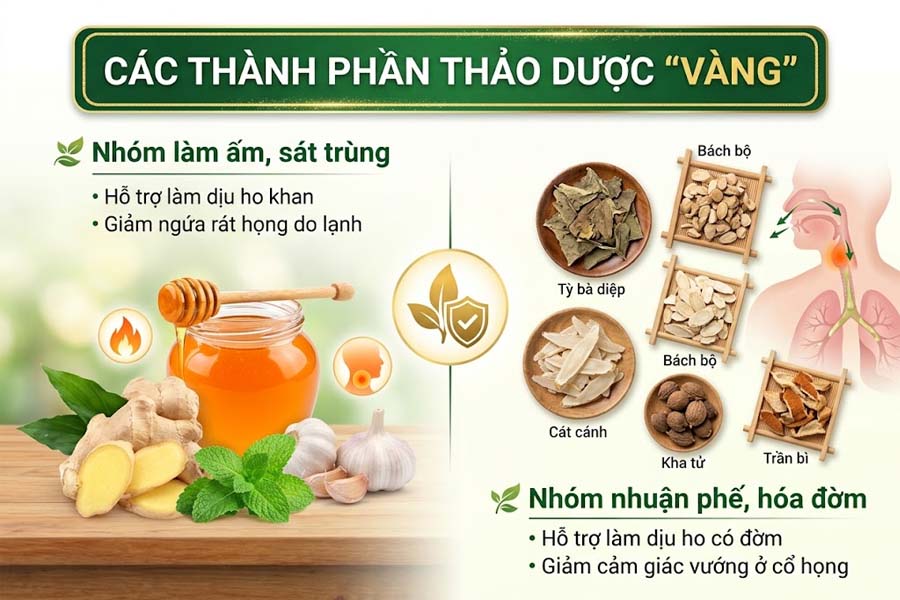 Các Thành Phần Thảo Dược 