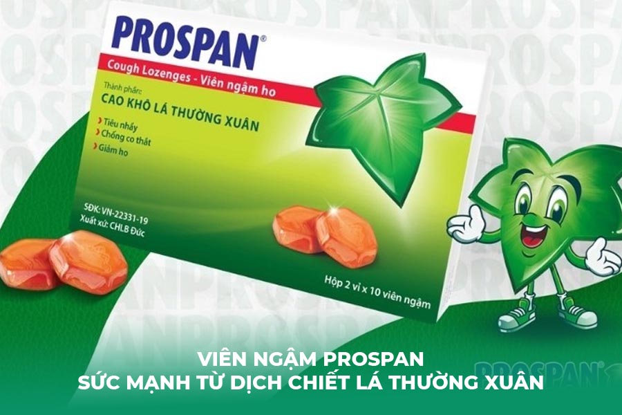 Viên ngậm Prospan – Sức mạnh từ dịch chiết lá thường xuân