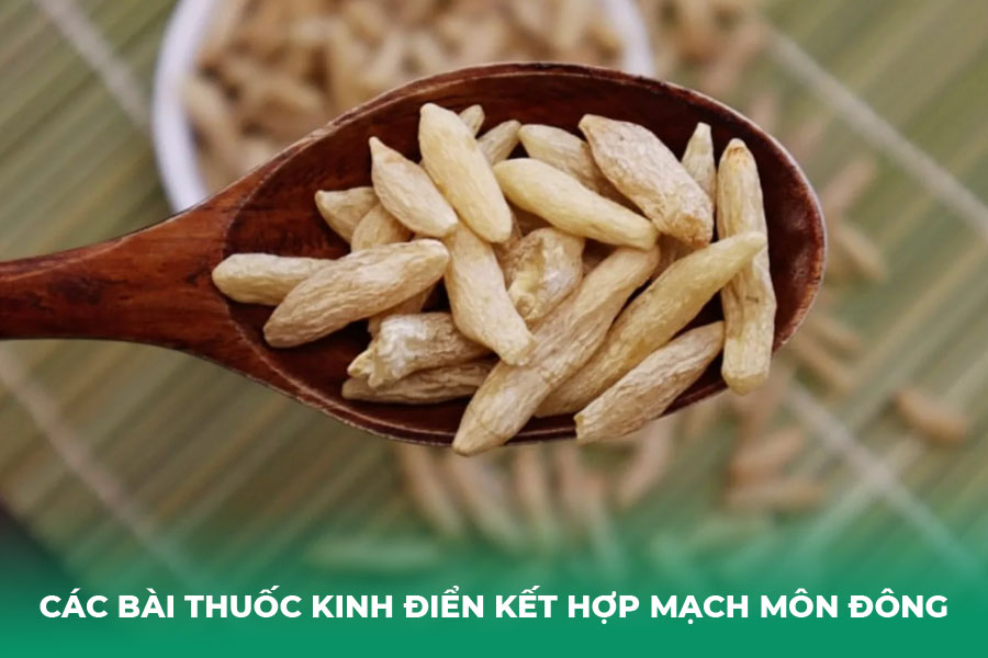 Các Bài Thuốc Kinh Điển Kết Hợp Mạch Môn Đông