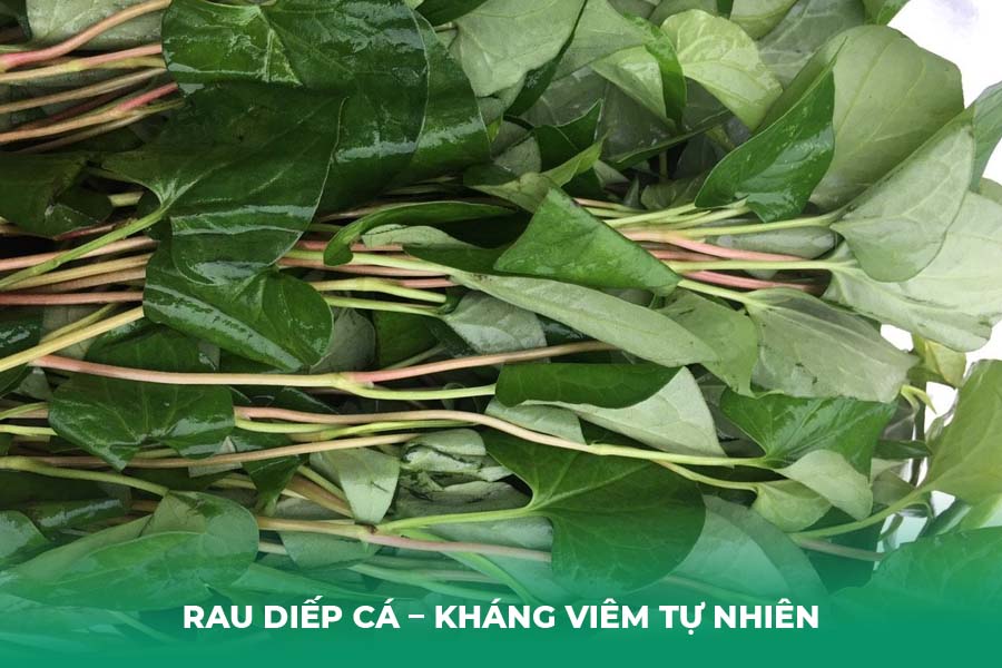Rau Diếp Cá – Kháng Viêm Tự Nhiên