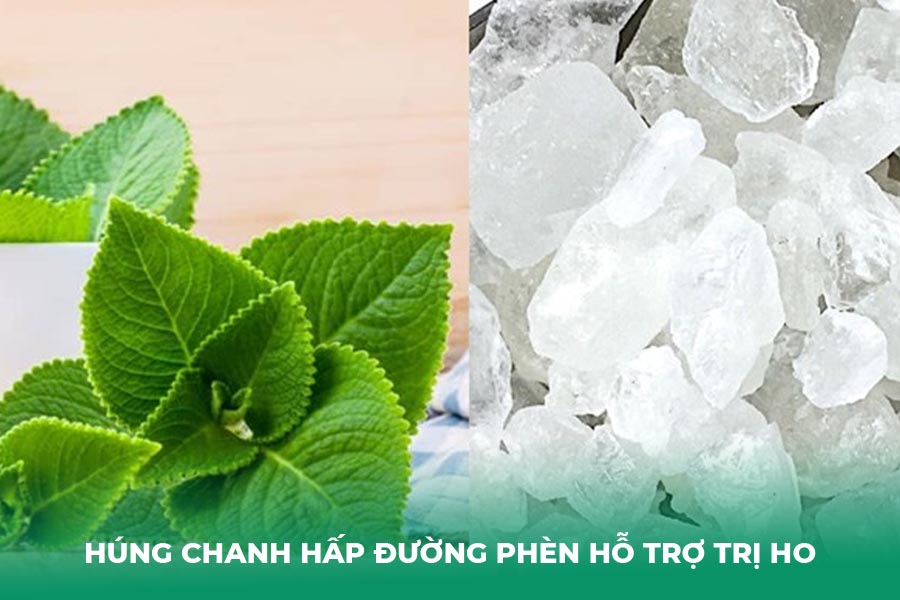 Húng chanh hấp đường phèn