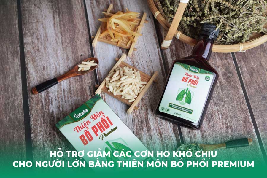 Hỗ trợ giảm các cơn ho khó chịu cho người lớn bằng Thiên Môn Bổ Phổi Premium