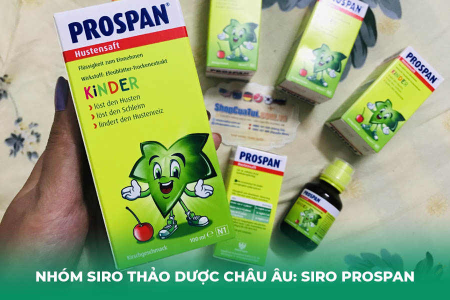 Nhóm Siro Thảo Dược Châu Âu: Siro Prospan