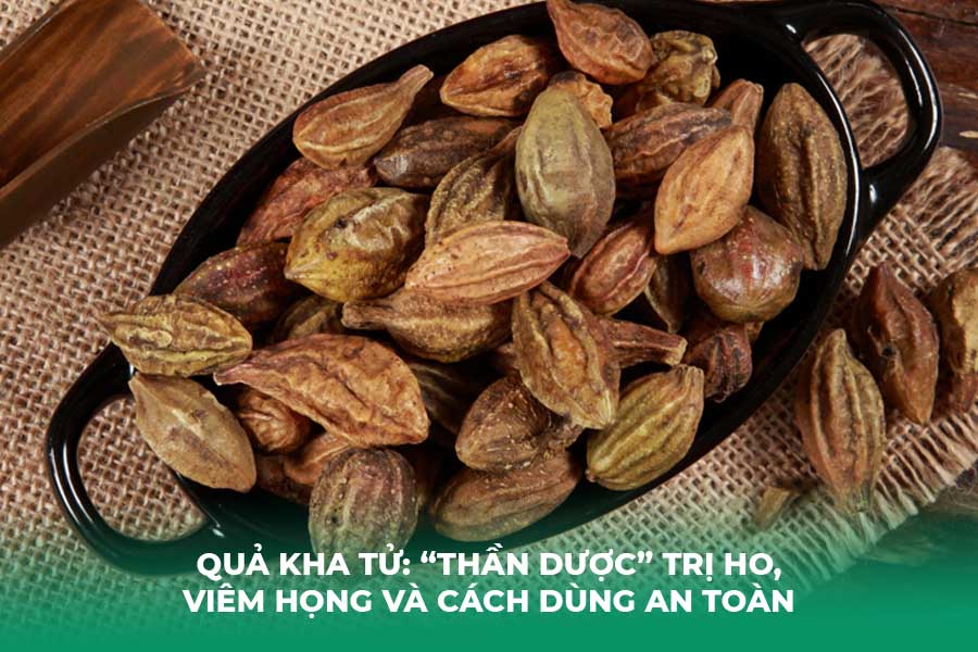 Quả Kha Tử: “Thần Dược” Trị Ho, Viêm Họng và Cách Dùng An Toàn