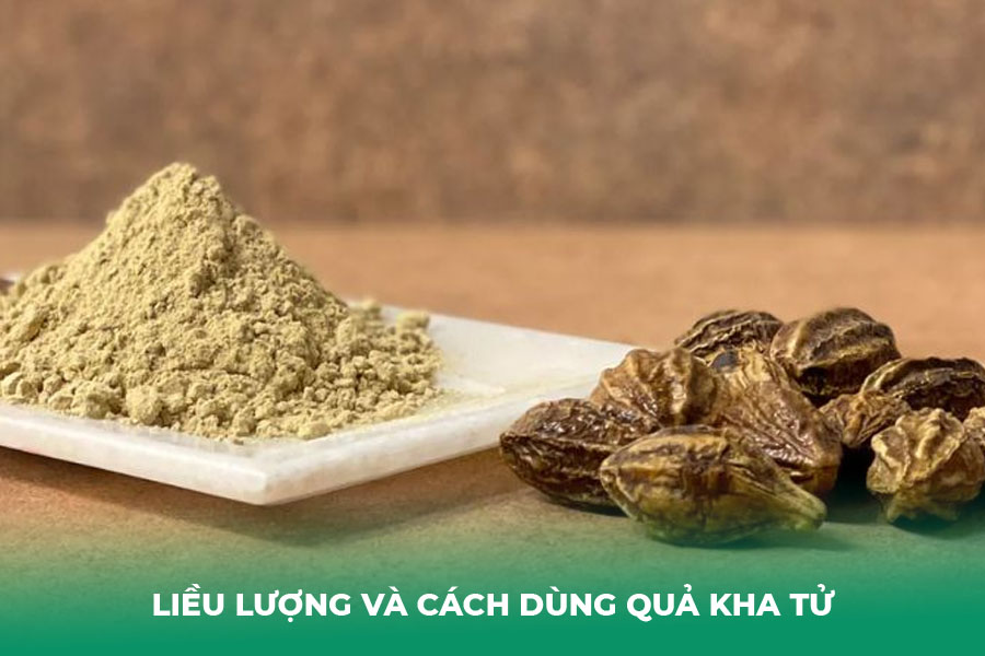 Liều lượng và cách dùng quả kha tử