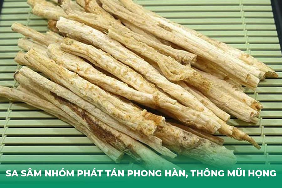 Nhóm Phát Tán Phong Hàn, Thông Mũi Họng