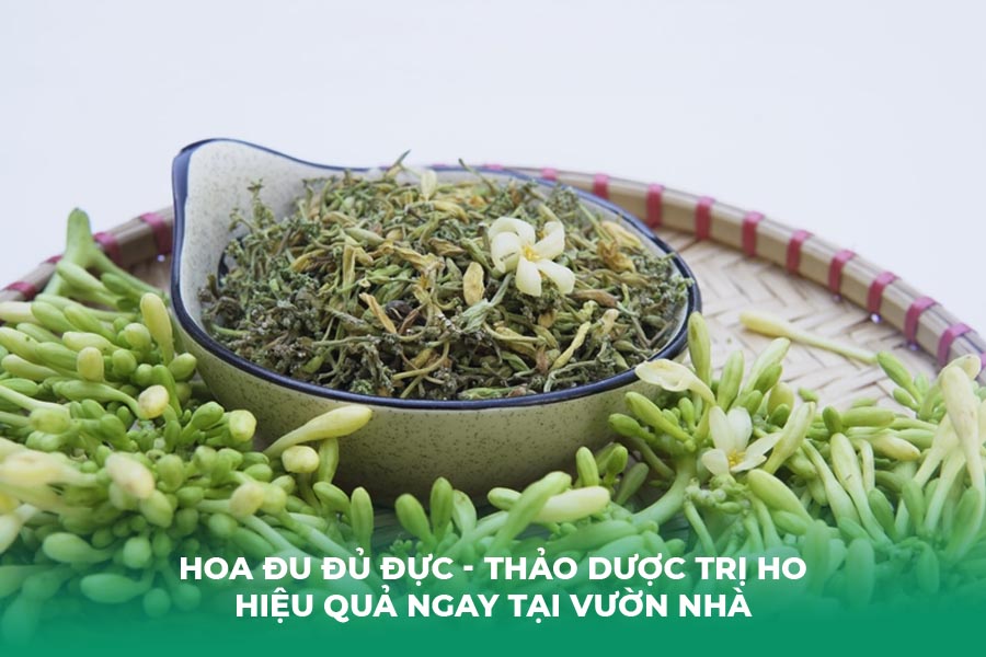 Hoa Đu Đủ Đực